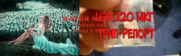 дживик Верхний Тагил