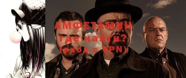 дживик Верхний Тагил