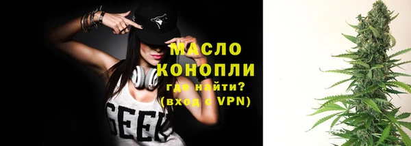 дживик Верхний Тагил