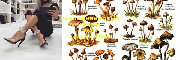 дживик Верхний Тагил