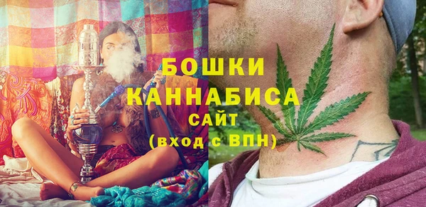 дживик Верхний Тагил