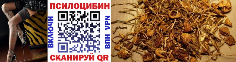 Купить закладки  Новая Усмань  Галлюциногенные грибы мицелий 